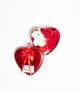 Heart Shape Gift Box With Flower And Teddy Bear